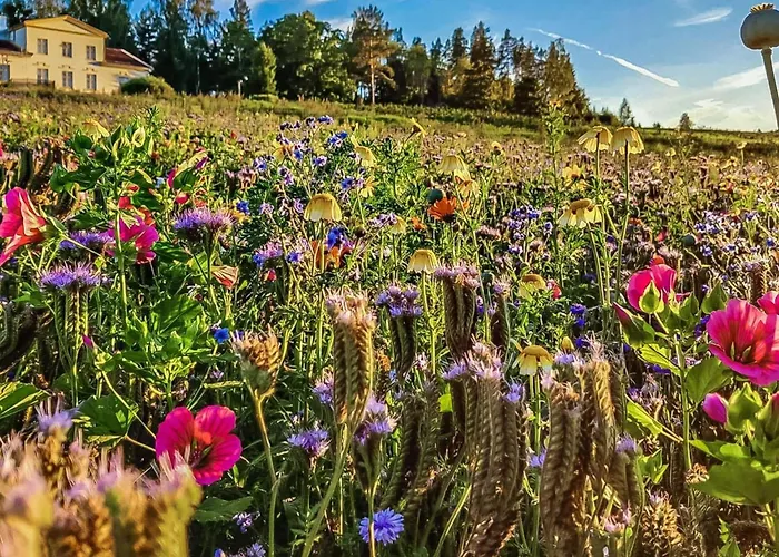 Hébergement de vacances Punatulkku By Interhome Hirsjärvi